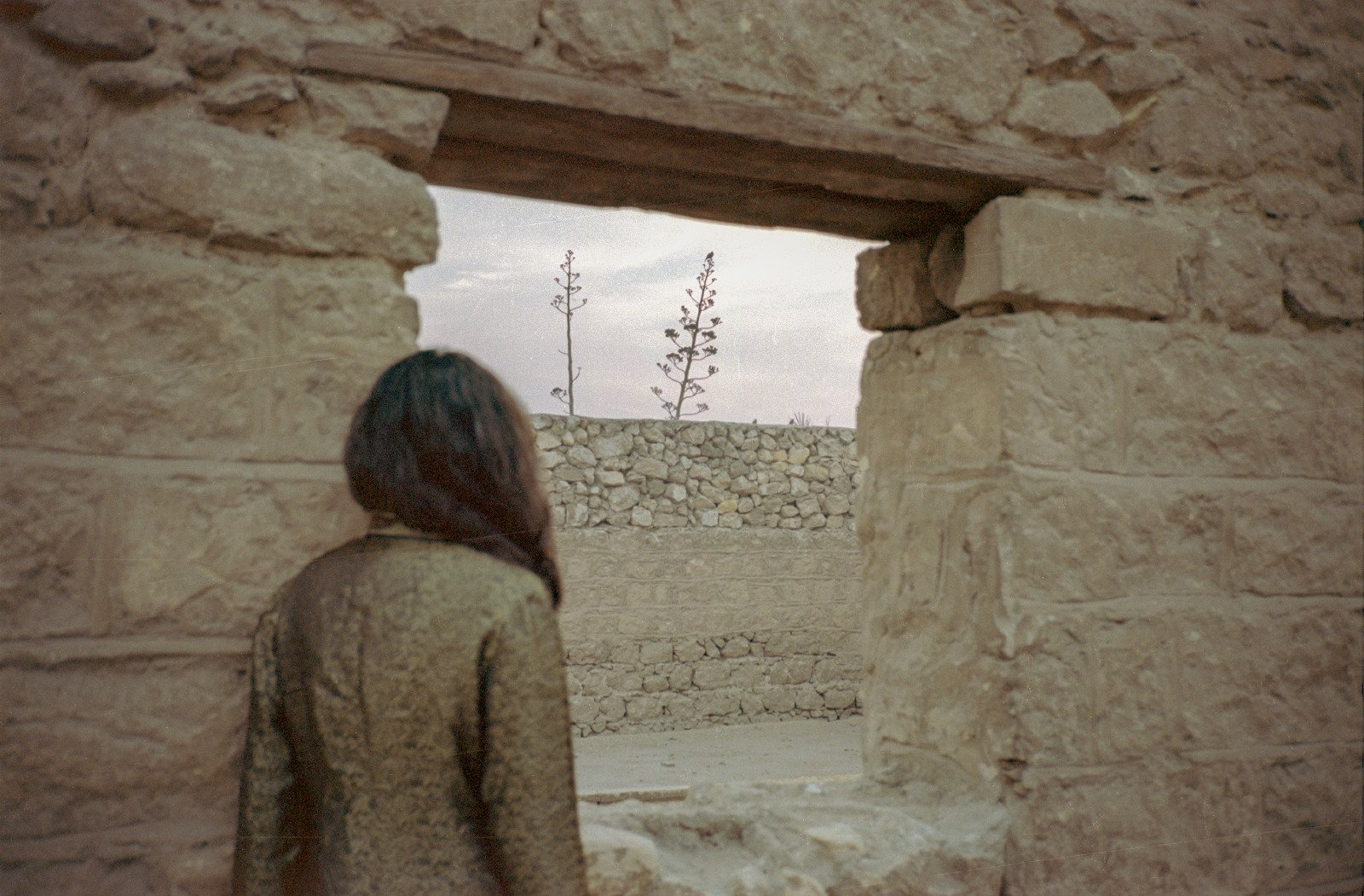 Egyptian music artist Nancy Mounir, photographed from the back, looks outside of a window, in a building made of big white bricks